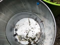 -碓臼峪自然风景区