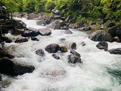 -石台牯牛降景区