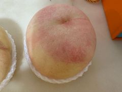 -老袁家蜜桃农场·阳山水蜜桃