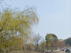 -梁鸿国家湿地公园