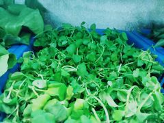 -老味道1992(武当山店)