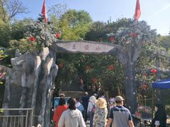-王顺山国家森林公园