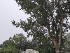 -达活泉公园
