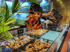 -九月海·海鲜自助(世纪东方店)