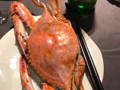 -浩运·海鲜青岛菜·海胆水饺(石老人店)