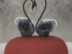 -罗红摄影艺术馆