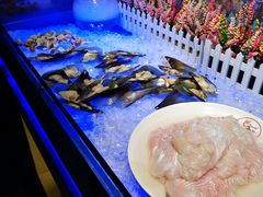 -巴犀烧烤(新崇光店)