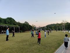 -大屏嶂森林公园