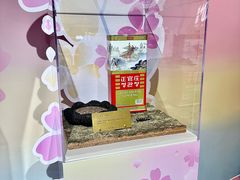 -杭州大厦LSE城市生活超市(杭州大厦店)