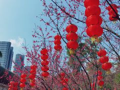 -牛岗山公园