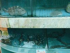 -外沙疍家棚酒楼