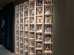 -CAT’S MEWSTAR CAFE·喵星球猫屋(晴湾咖啡店)