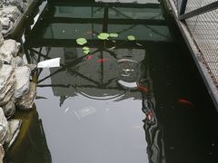 -Kings party 高端轰趴会所(朝阳北路店)