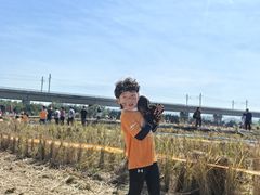 -光明小镇欢乐田园
