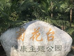 -菊花台公园