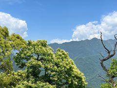 -青城山