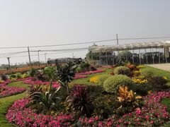 -小陆莲花蟹园农家乐(莲花岛店)