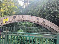-西双版纳原始森林公园
