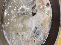 -双廊杨记石锅鱼石锅牛肉