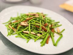 -丁老爷子苏香圆