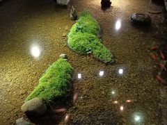 -几荷·恰似故人来(秀水广场店)