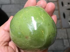 -沈大成(城隍庙店)