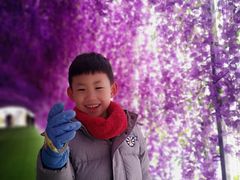-绿野森林乐园冰雪季