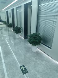 -悟空祛痘·诺奖技术专业店