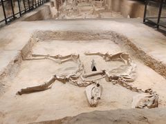 -洛阳周王城天子驾六博物馆