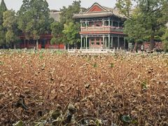 -莲池书院博物馆