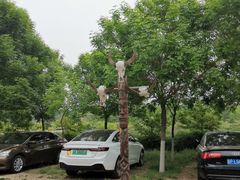 -呀路古热带植物园