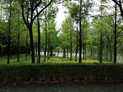 -华东政法大学(松江校区)