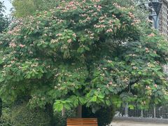 -巴音郭楞蒙古自治州博物馆