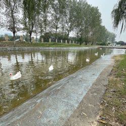-上美四季动物农场