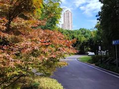 -苏州河梦清园环保主题公园