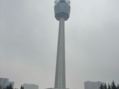 -陕西自然博物馆