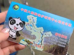 -都江堰中华大熊猫苑