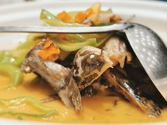 -饭怕鱼(阳光100店)