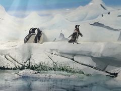 -上海海洋水族馆