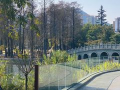 -四海公园(南山区)