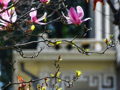 -南京中国近代史遗址博物馆(南京总统府)