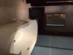 环球恐龙城维景国际大酒店-常州环球恐龙城维景国际大酒店