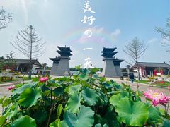 -洛阳市隋唐城遗址植物园