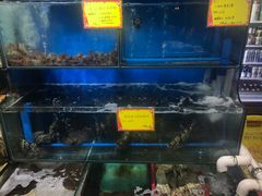 水产区-蚝专家(北滘店)
