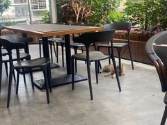 -财神鸡煲(华强北店)