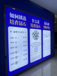 -LightOnly·培育钻石婚戒定制(天坛店)