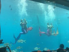 -瑞德姆美人鱼海底演艺主题餐厅(亚龙湾店)
