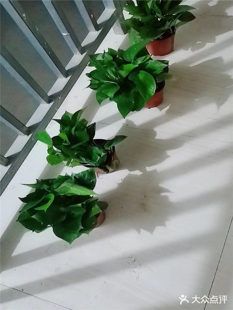 新房装修后如何去除醛