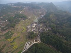 -桑洲油菜花景区