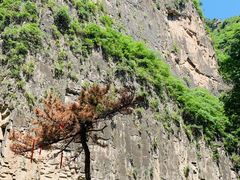 -山西壶关太行山大峡谷旅游景区
